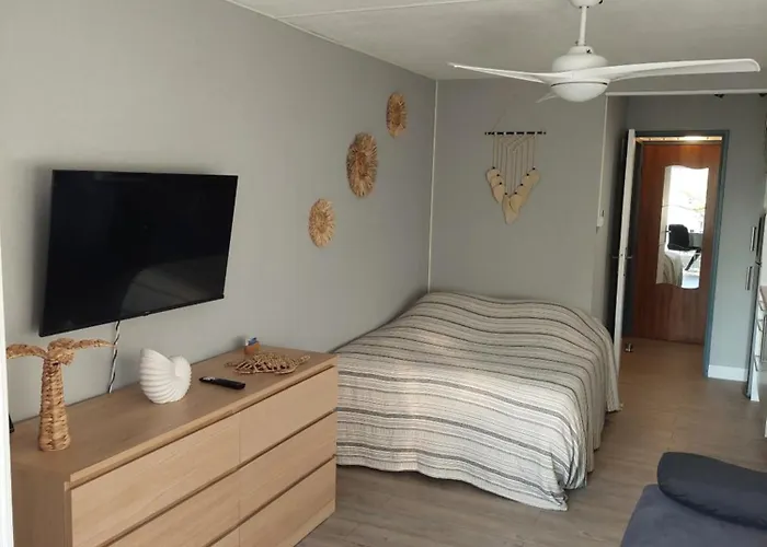 Appartamento Location Cap D'agde *